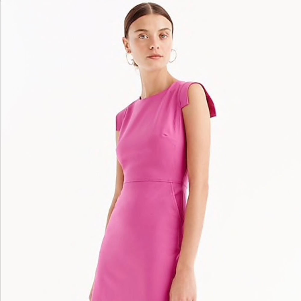 NWT J. Crew Resumé Dress